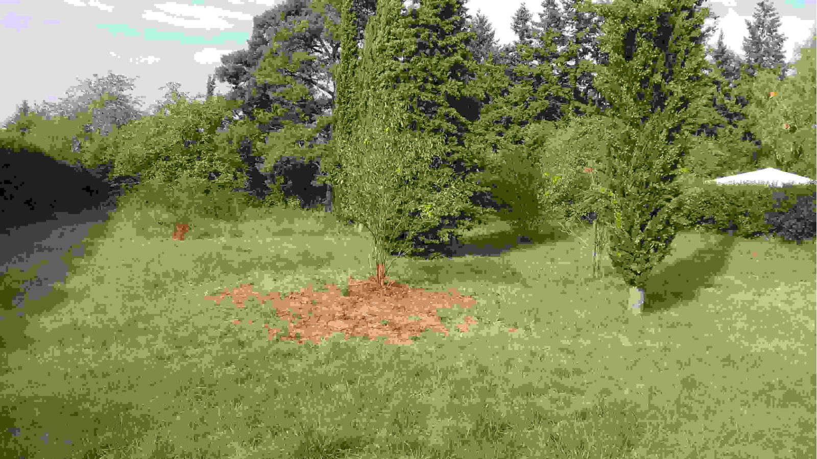 Terrain constructible de 1005m2 à Saint-Germain-des-Prés