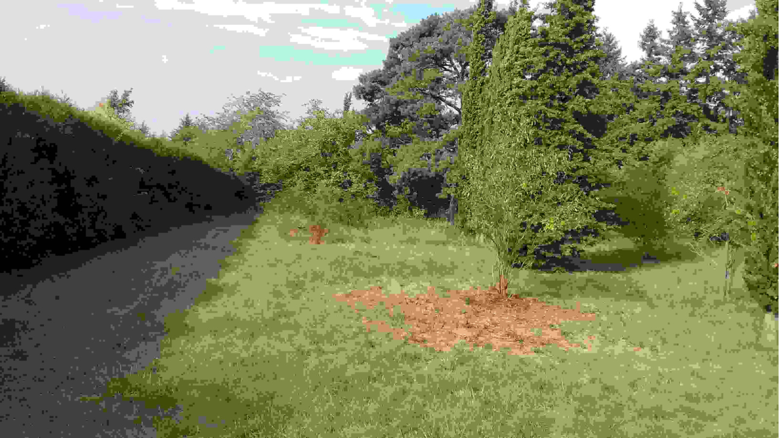 Terrain constructible de 930m2 à Château-Landon