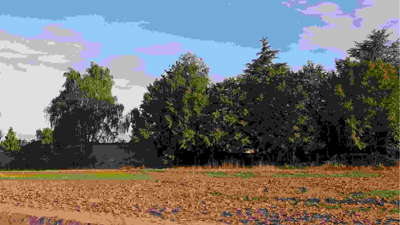 Terrain constructible de 700m2 à Huêtre
