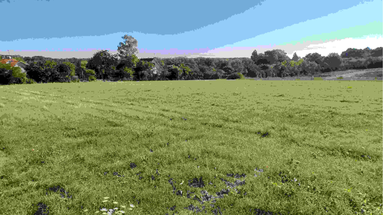 Terrain constructible de 908m2 à Loudun