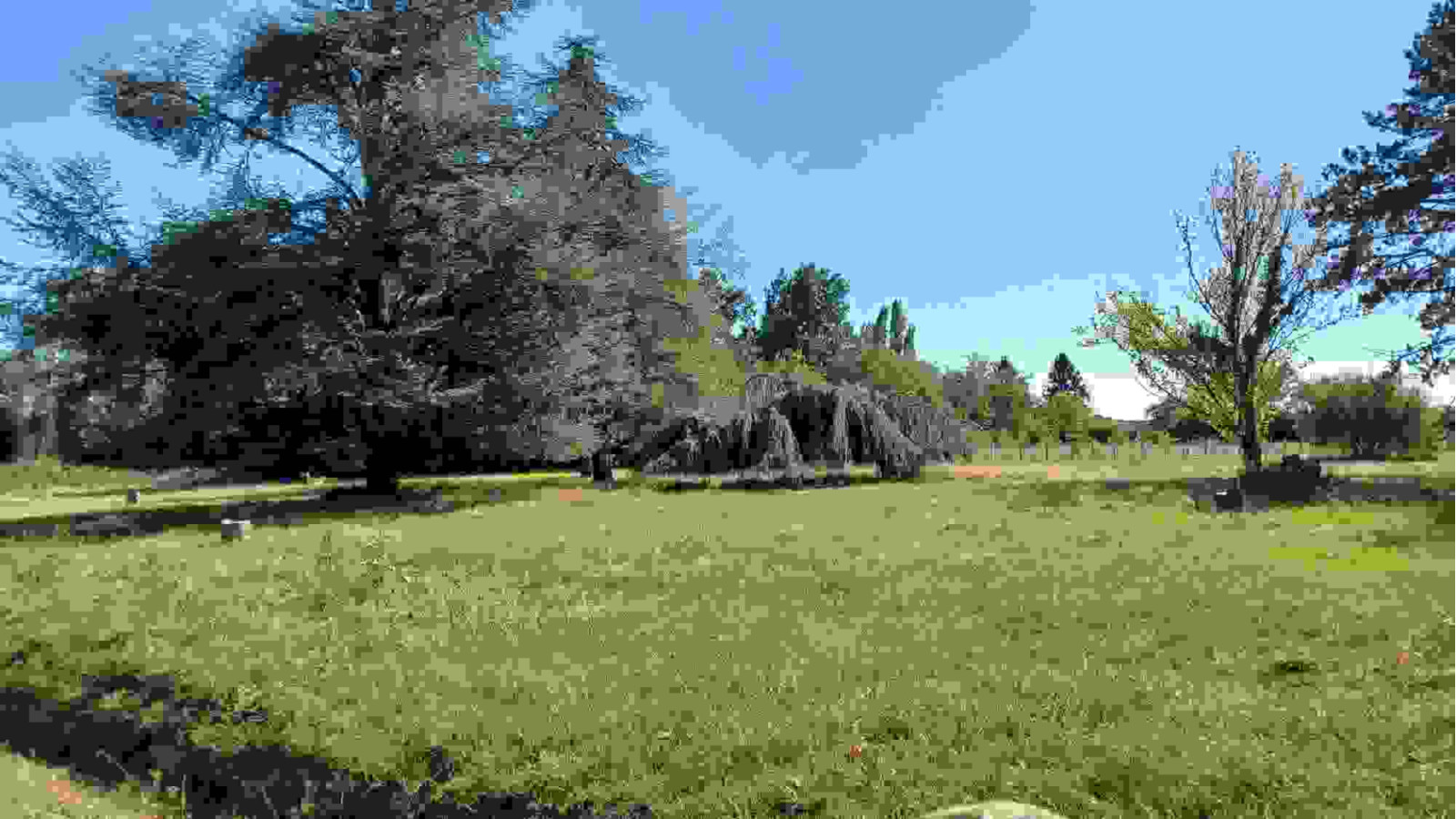 Terrain constructible de 2038m2 à La Chapelle-Saint-Sépulcre