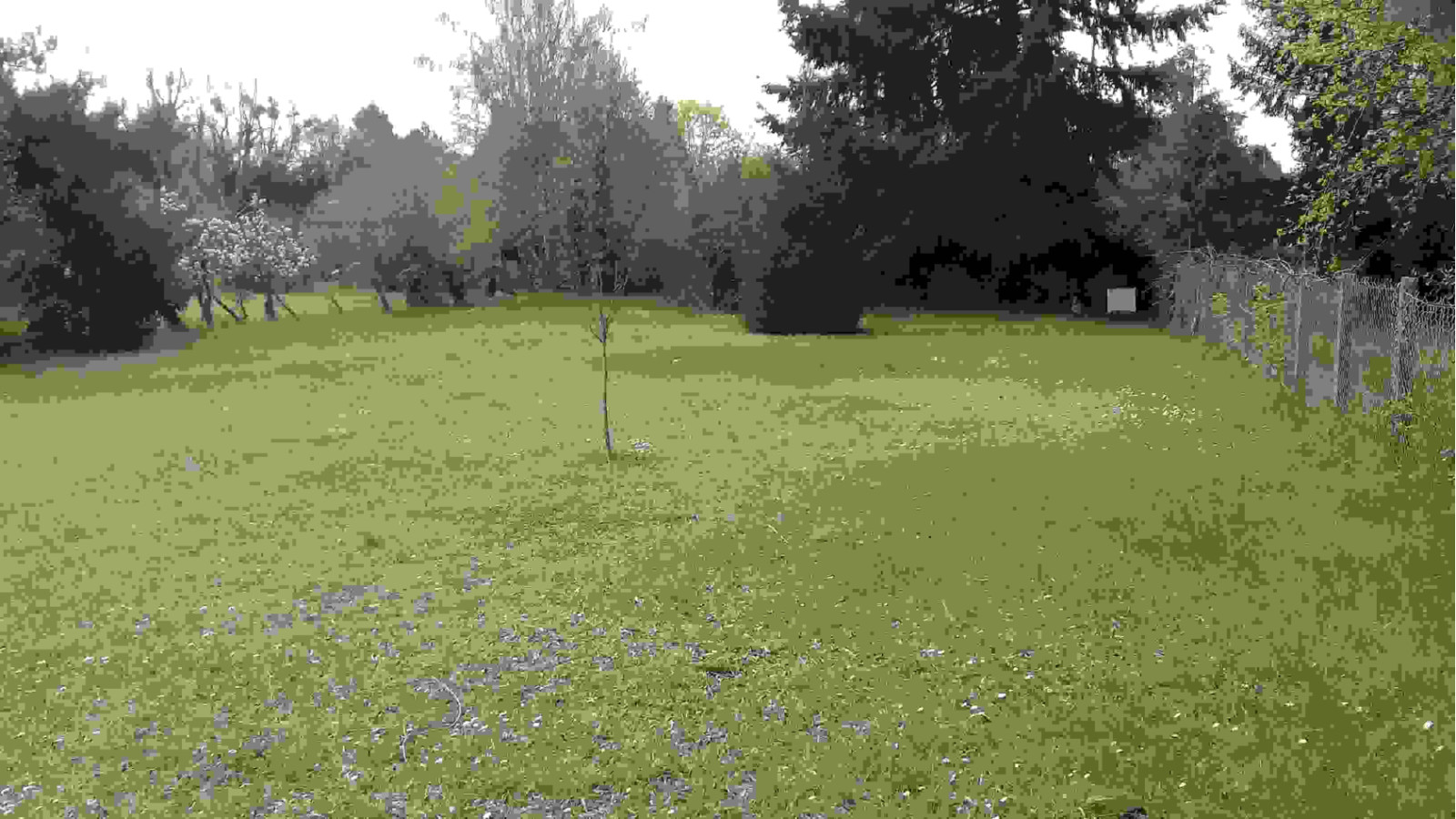 Terrain constructible de 817m2 à Nonville