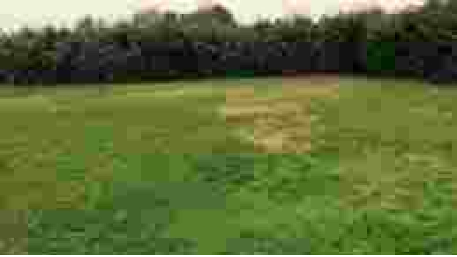 Terrain constructible de 600m2 à Les Rairies