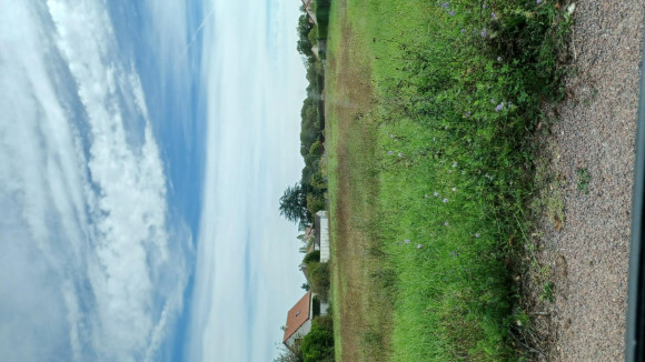 terrain AMILLY MORMANT.jpg