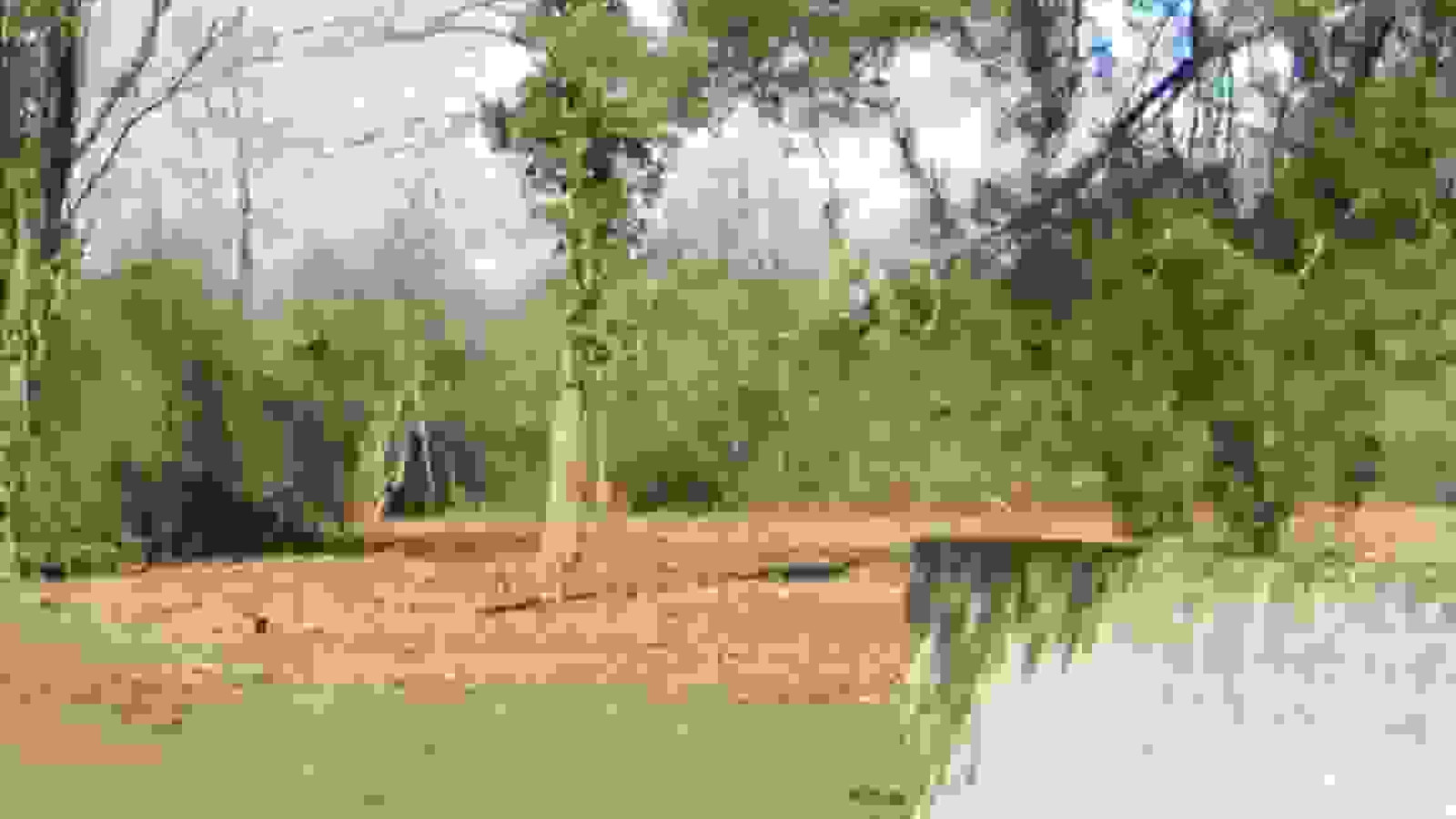 Terrain constructible de 460m2 à Vivonne