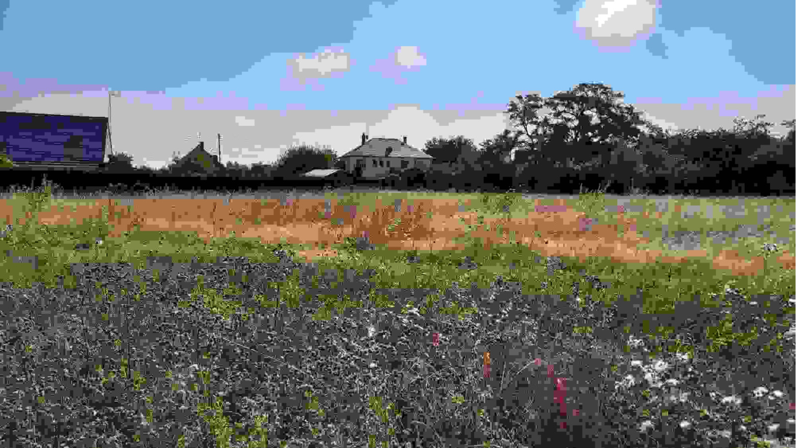 Terrain constructible de 575m2 à Mer