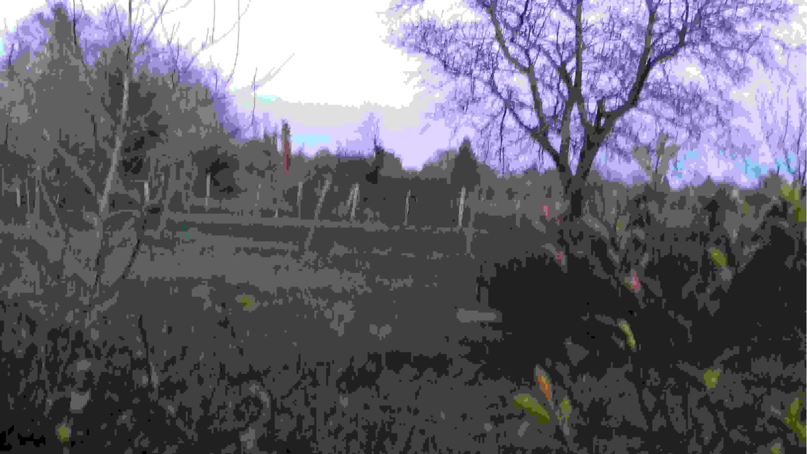 Terrain constructible de 850m2 à Paucourt