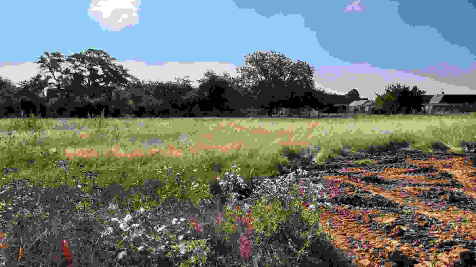 Terrain constructible de 1092m2 à Mont-près-Chambord