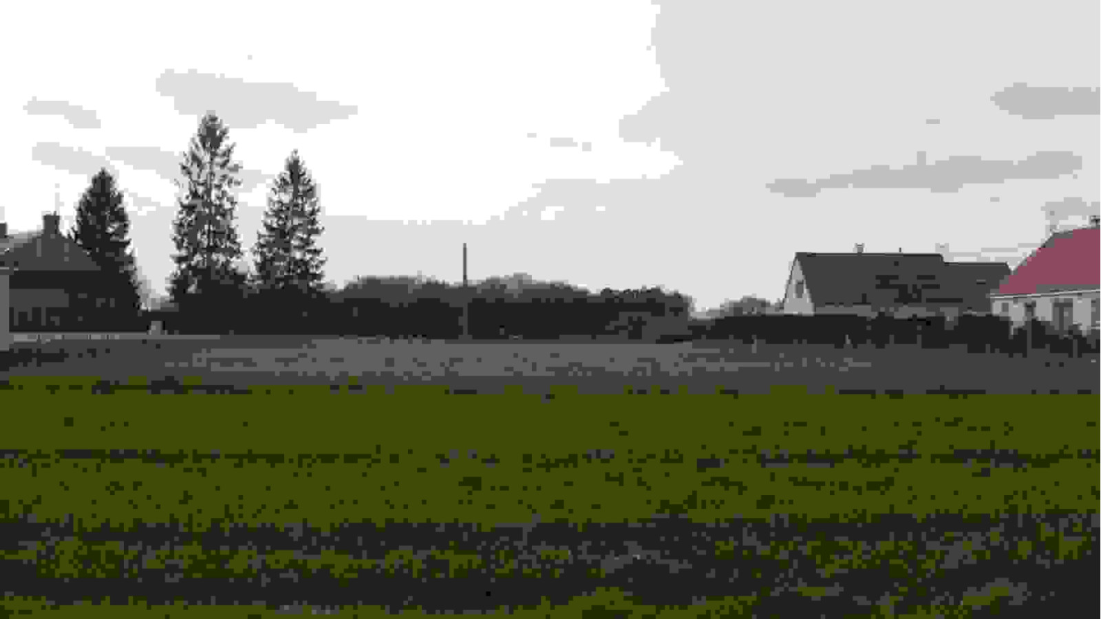 Terrain constructible de 1004m2 à Noyers