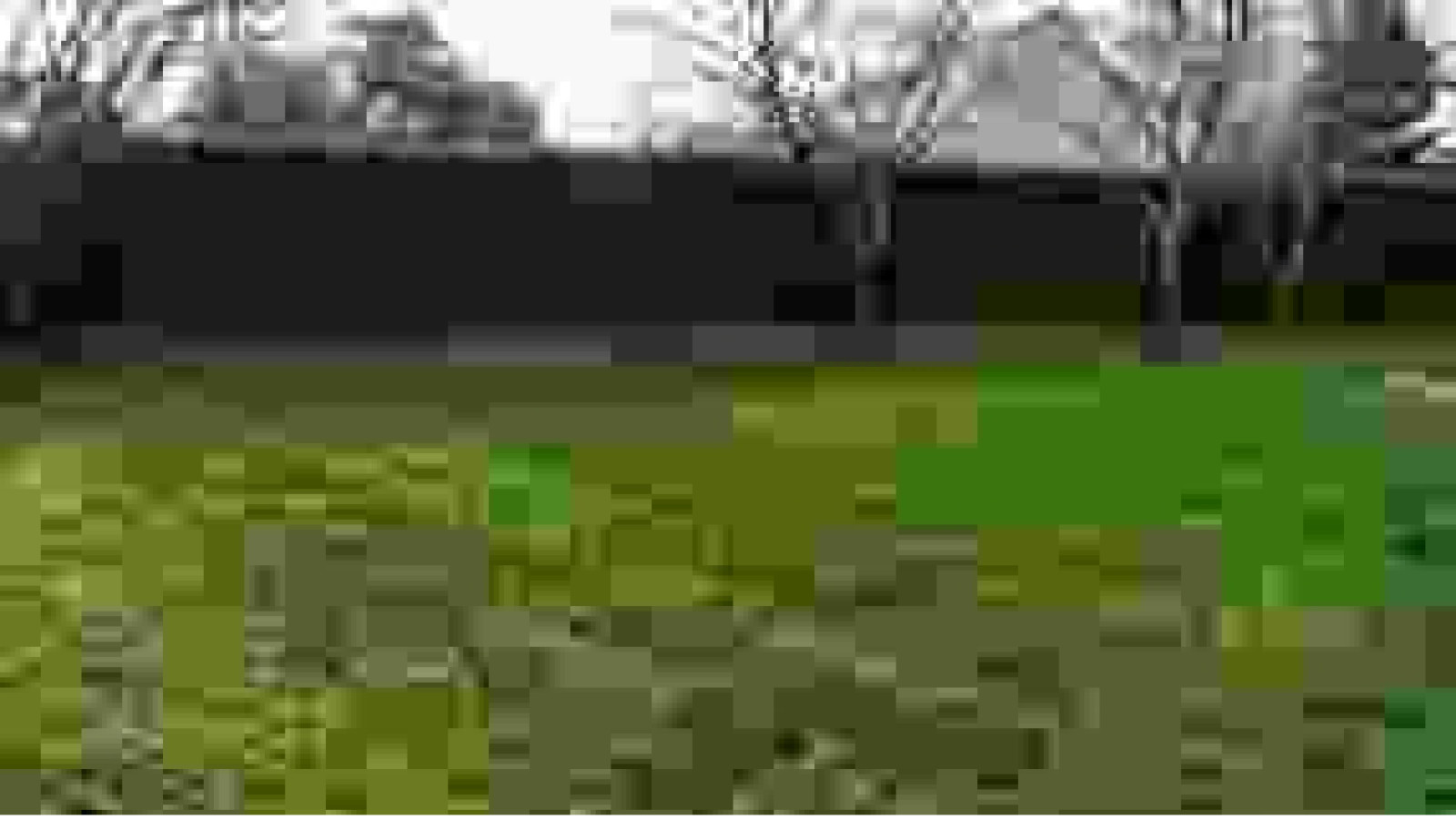 Terrain constructible de 601m2 à Les Garennes sur Loire