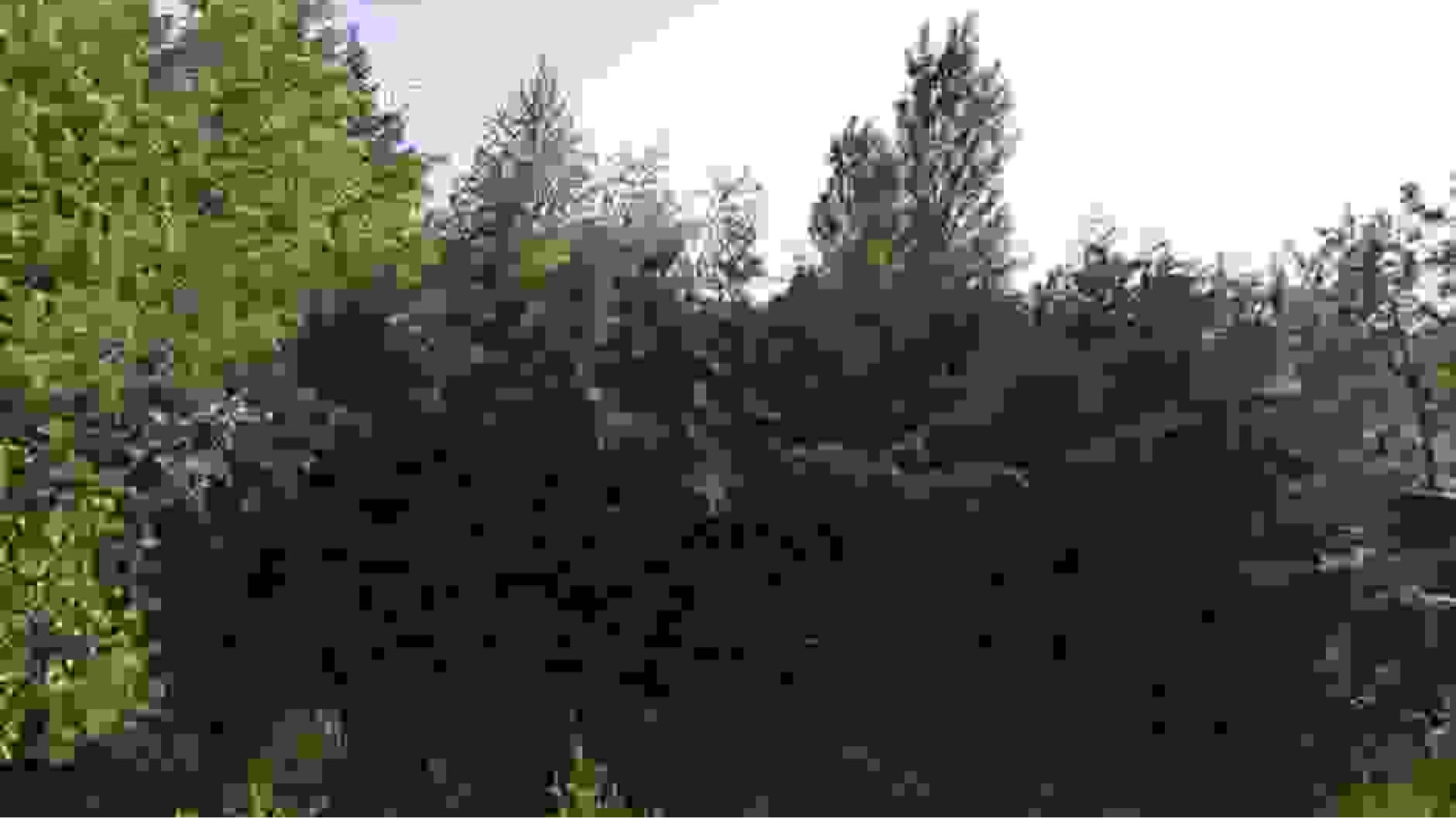 Terrain constructible de 488m2 à Gidy