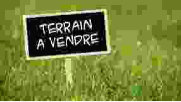 terrain à vendre.jpeg.jpeg