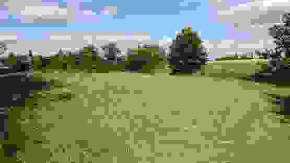 image0000031.jpg