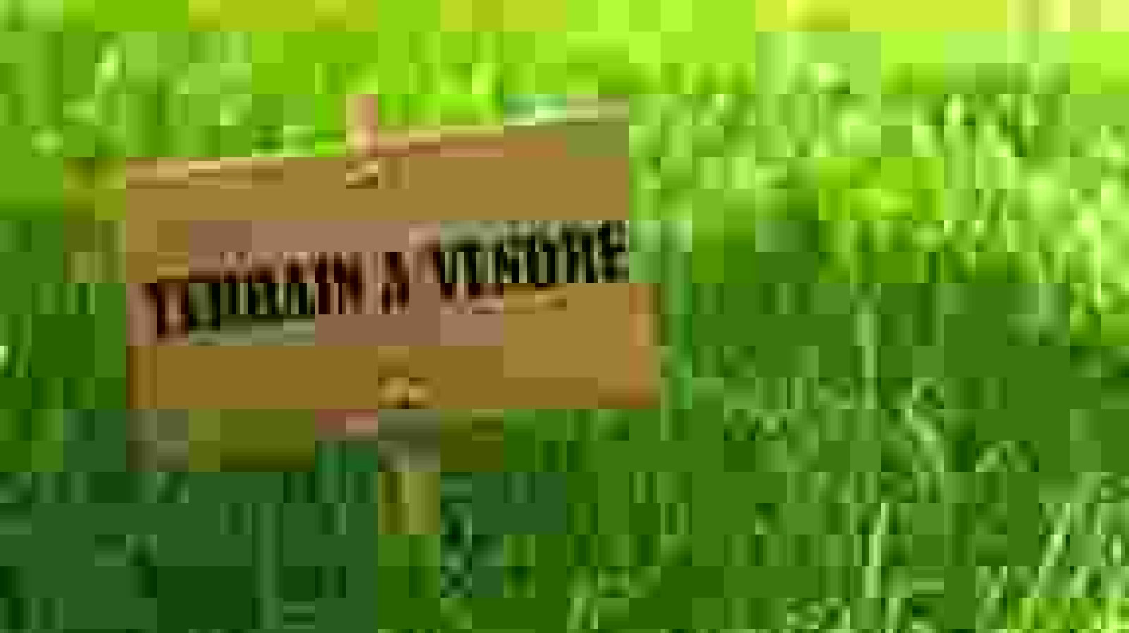 Terrain constructible de 350m2 à Neuillé-Pont-Pierre