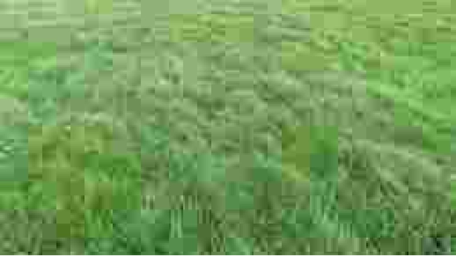 Terrain constructible de 585m2 à Athée-sur-Cher