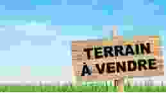 terrain à vendre 2.jpg