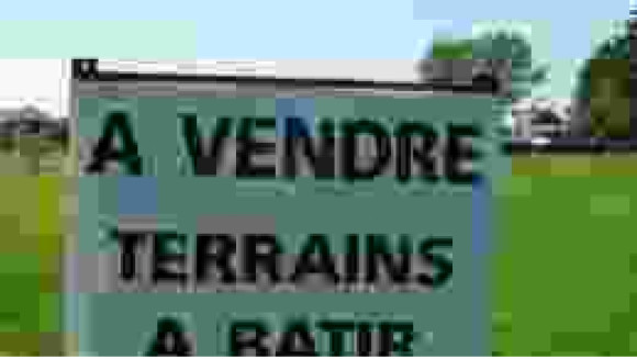 images-5.jpeg