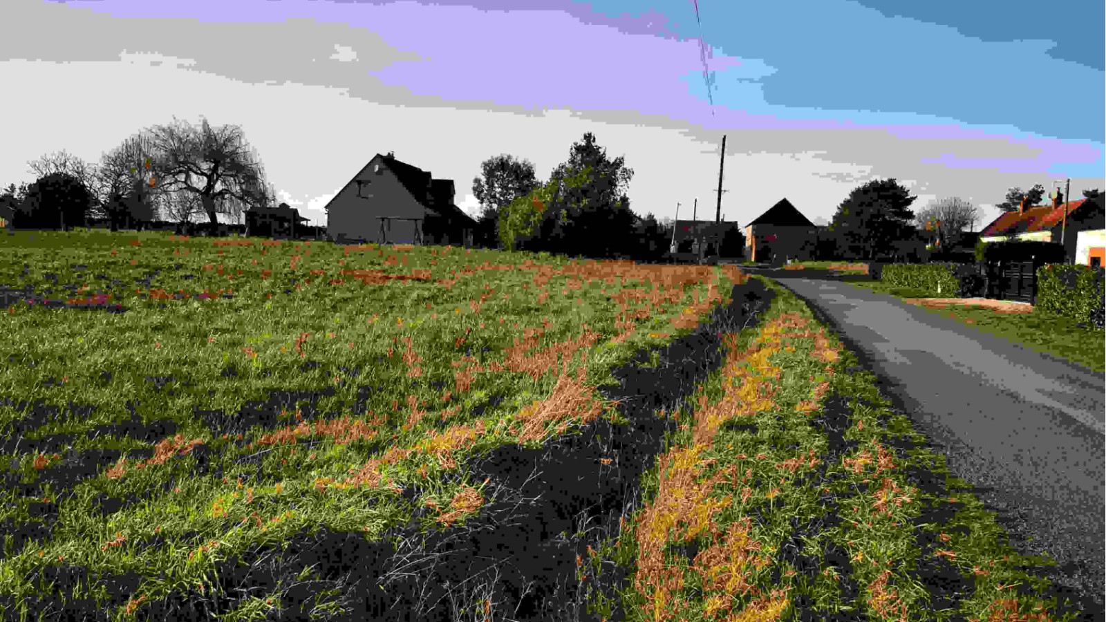 Terrain constructible de 1800m2 à Reignac-sur-Indre