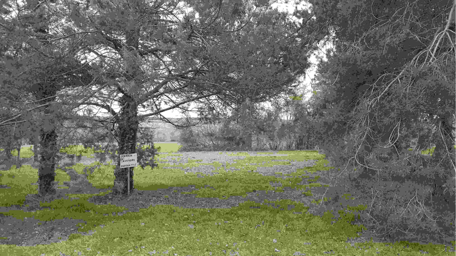 Terrain constructible de 1500m2 à Loches