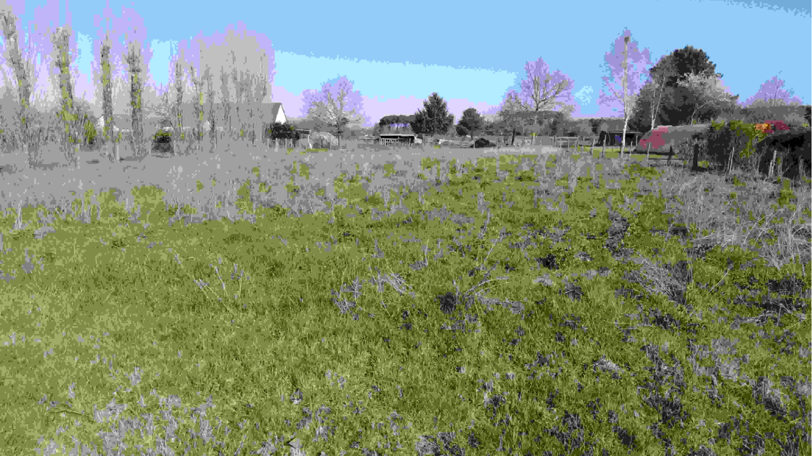 Terrain constructible de 725m2 à Montreuil-Bellay