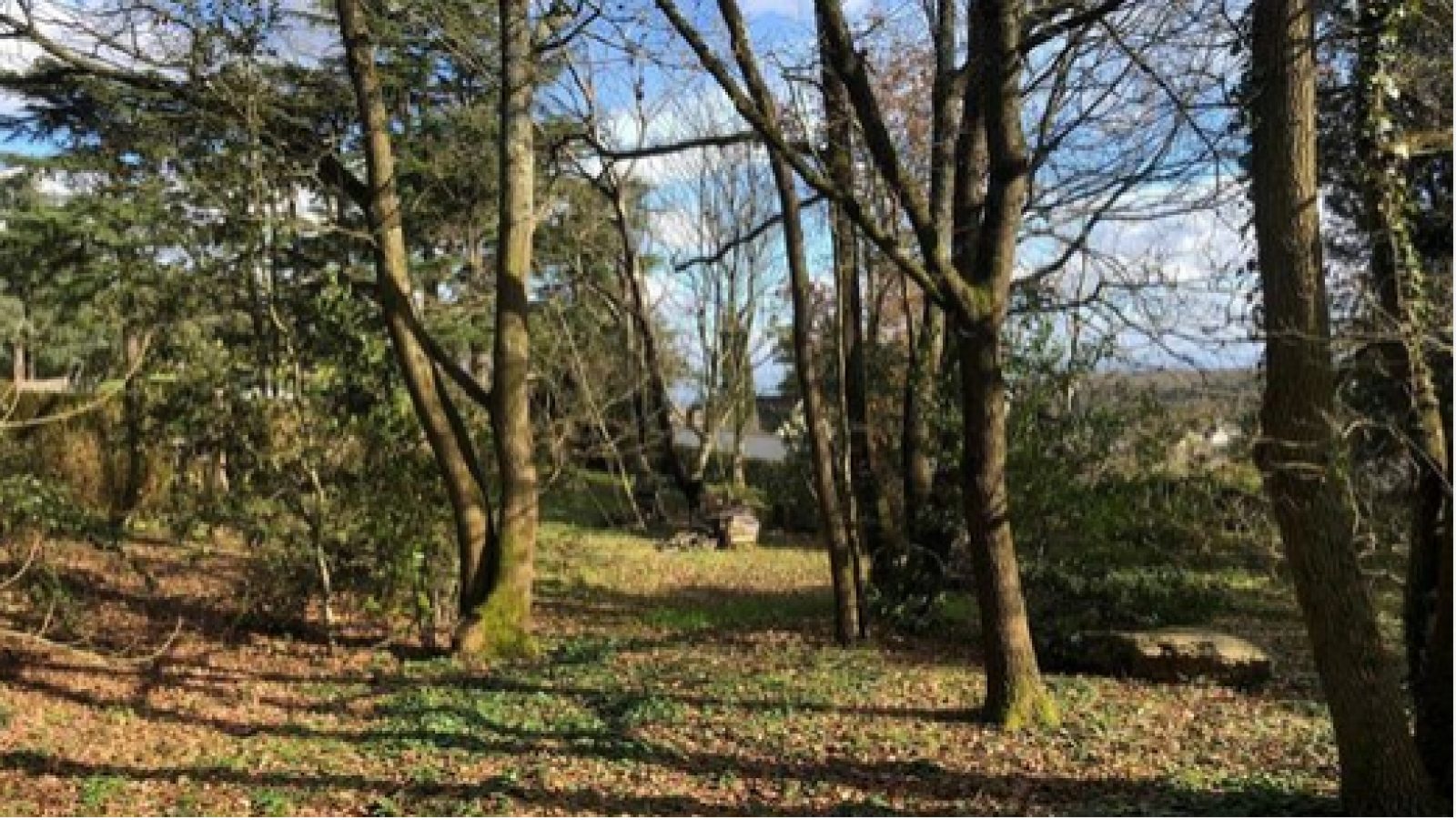 Terrain constructible de 759m2 à Gennes-Val-de-Loire