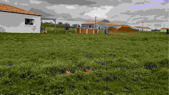 20200129_155257.jpg