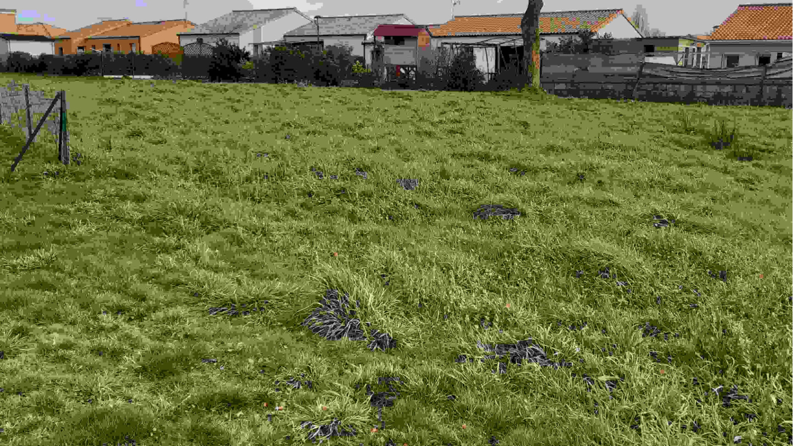 Terrain constructible de 458m2 à Beaupréau-en-Mauges