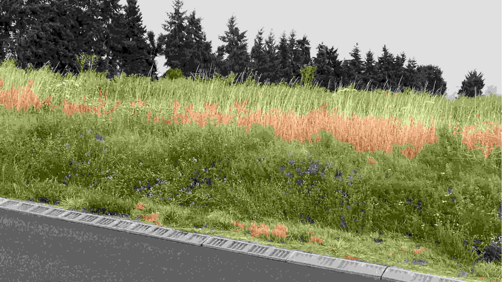 Terrain constructible de 488m2 à Mettray