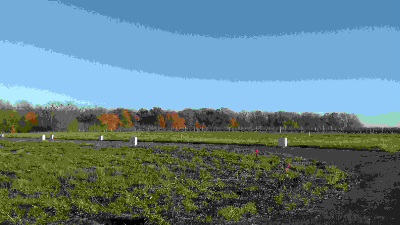 Terrain constructible de 462m2 à Mosnes