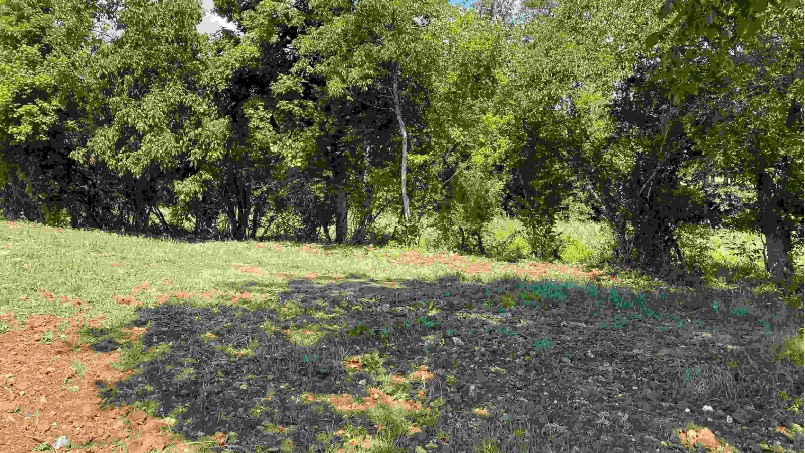 Terrain constructible de 505m2 à Semblançay
