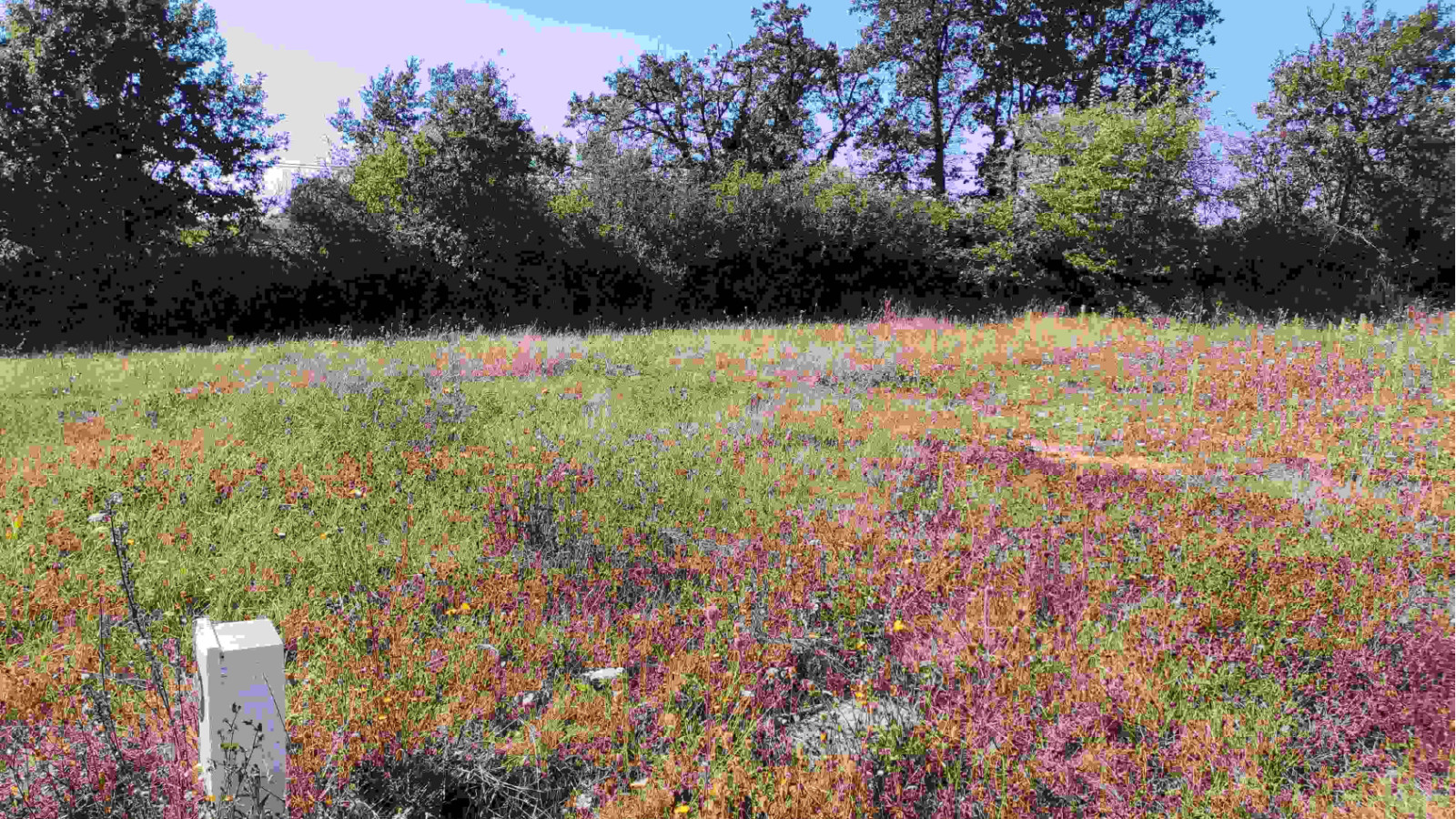 Terrain constructible de 384m2 à Fontaine-le-Comte