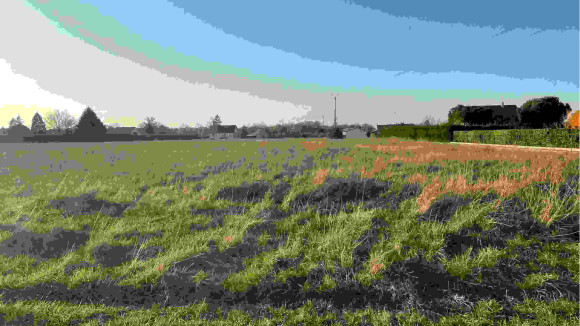 terrain ambillou.jpg