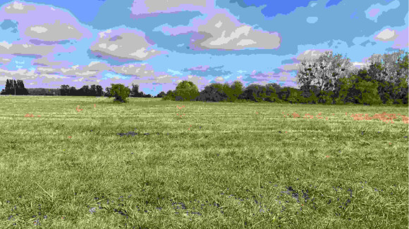 SORIGNY SET.jpg
