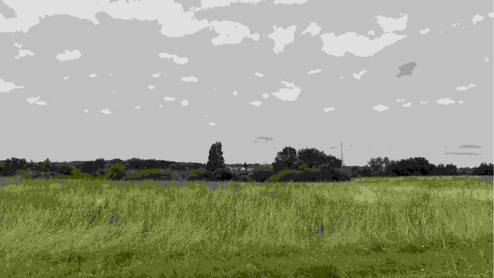 Terrain constructible de 505m2 à Tauxigny-Saint-Bauld