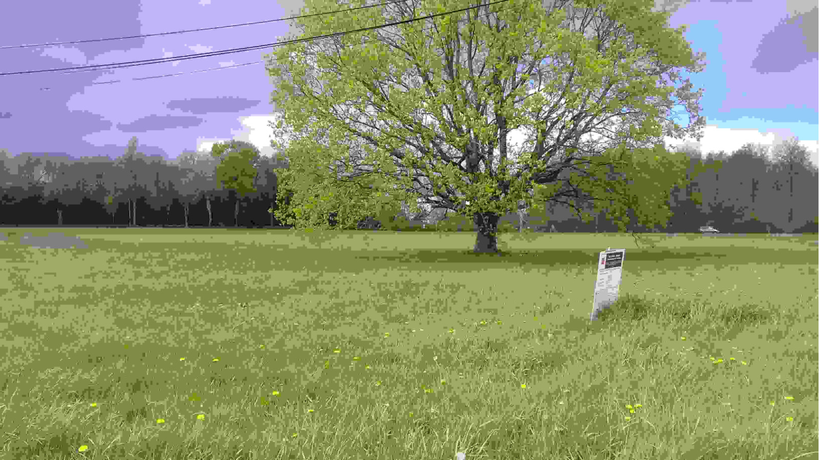 Terrain constructible de 1013m2 à Fondettes