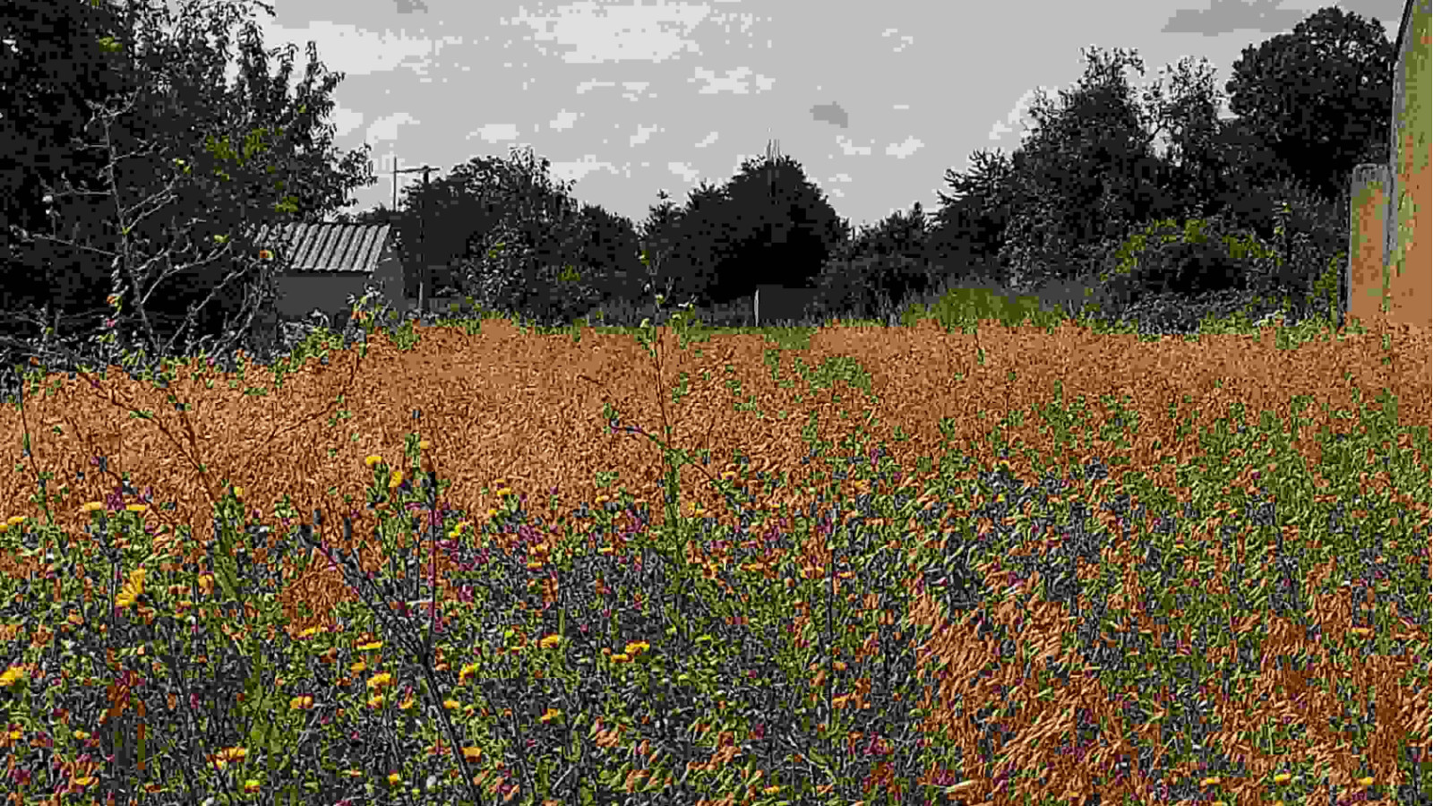 Terrain constructible de 672m2 à Le Bardon
