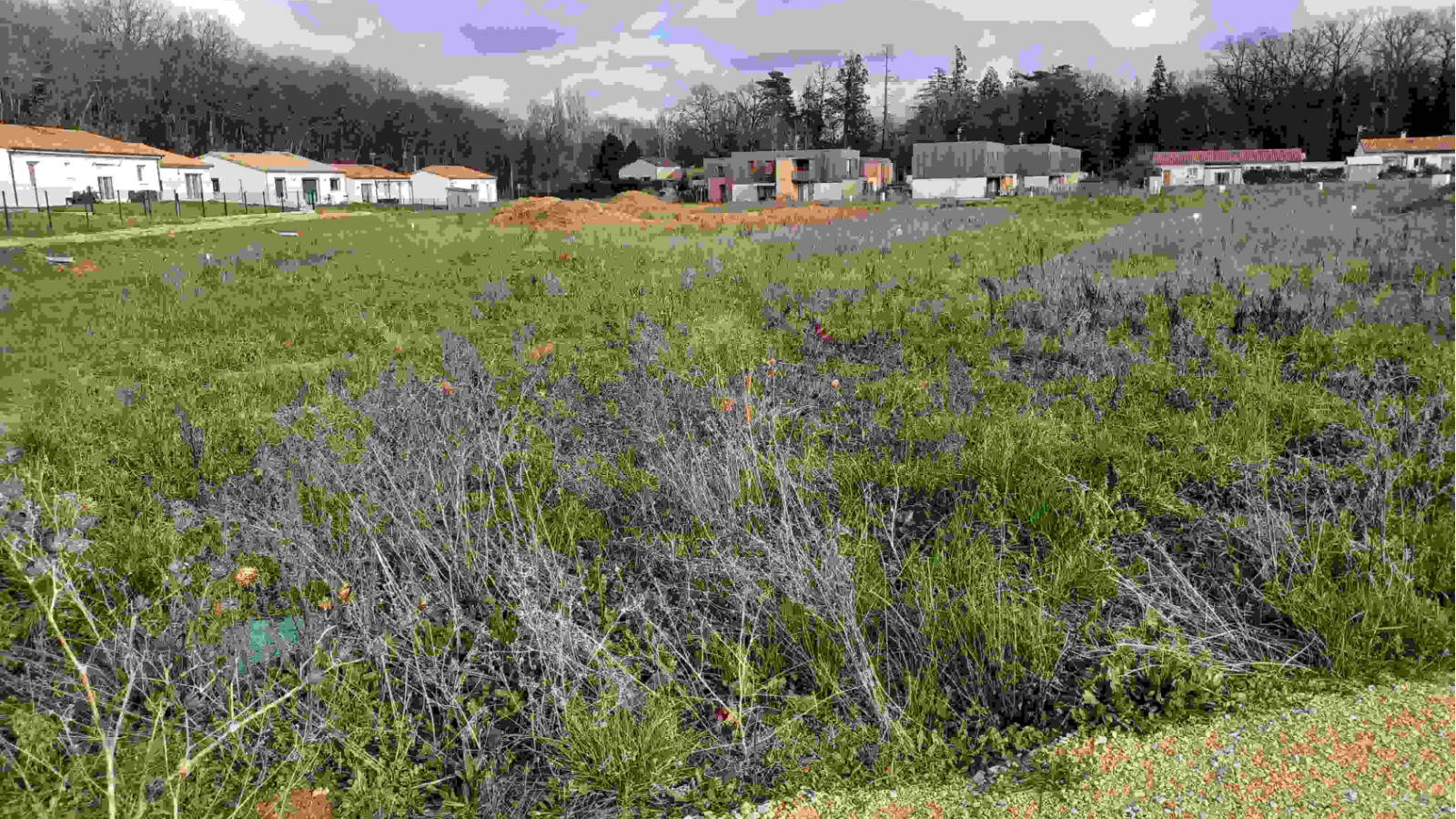 Terrain constructible de 609m2 à Vouillé