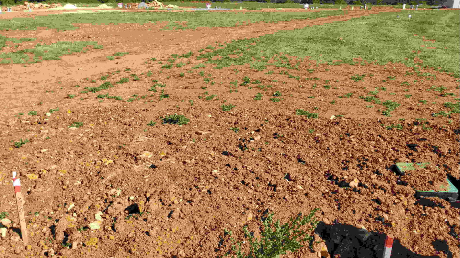 Terrain constructible de 860m2 à Savigné