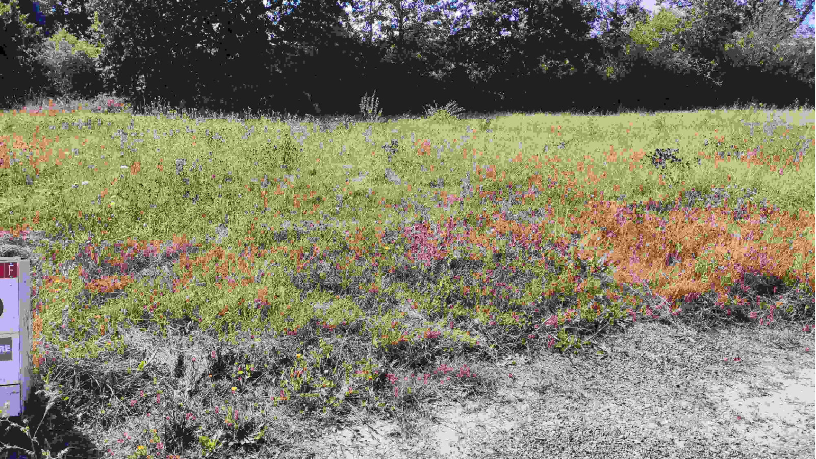 Terrain constructible de 610m2 à Vouillé