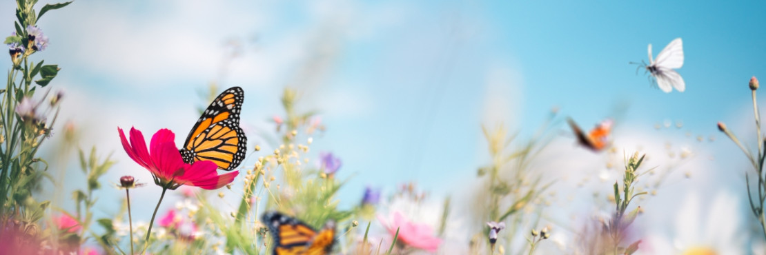 Votre texte de paragraphe (1).jpg