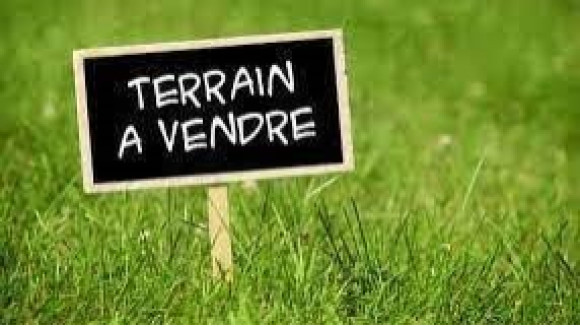 terrain à vendre.jpeg