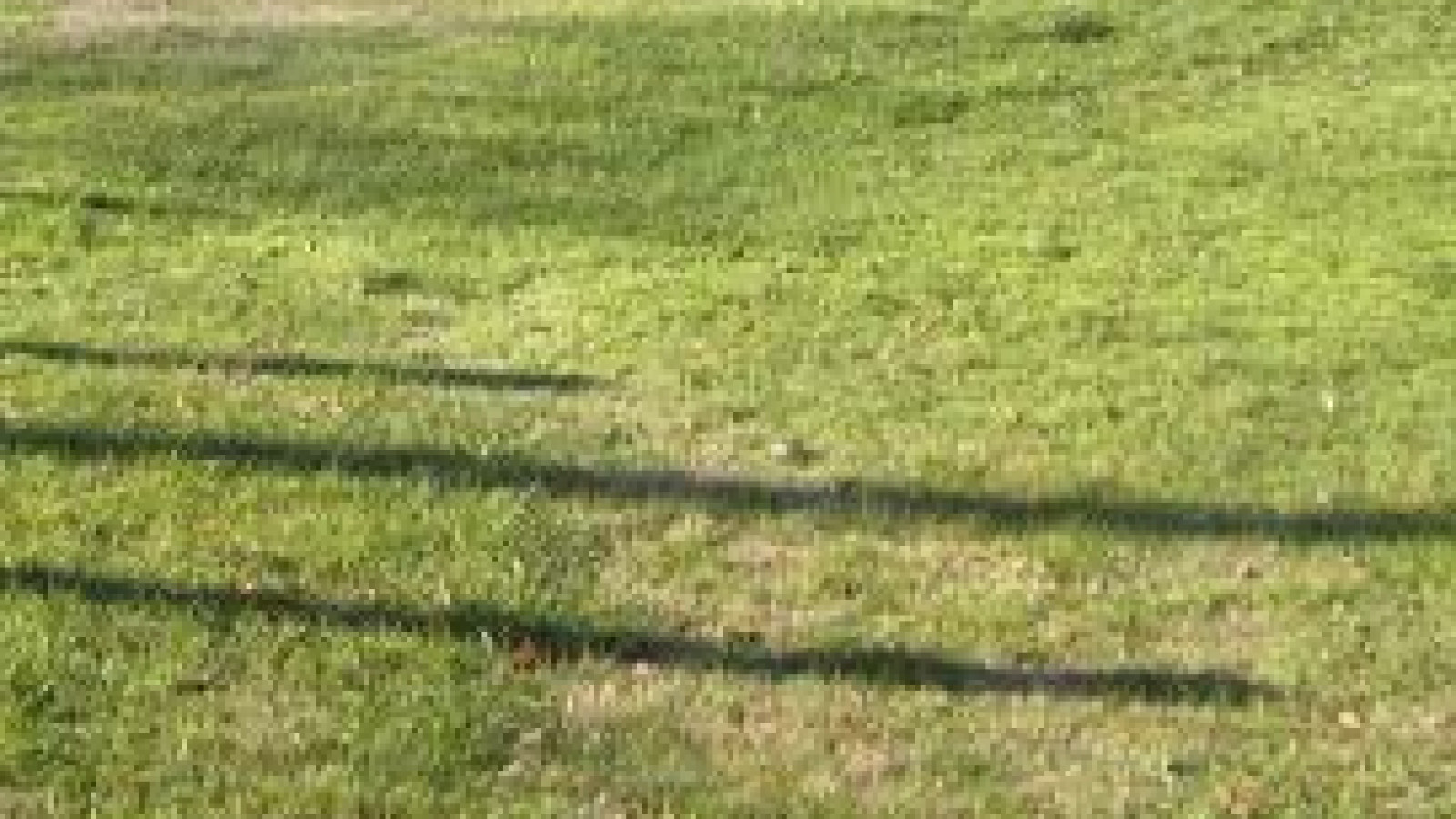Terrain constructible de 650m2 à Cholet