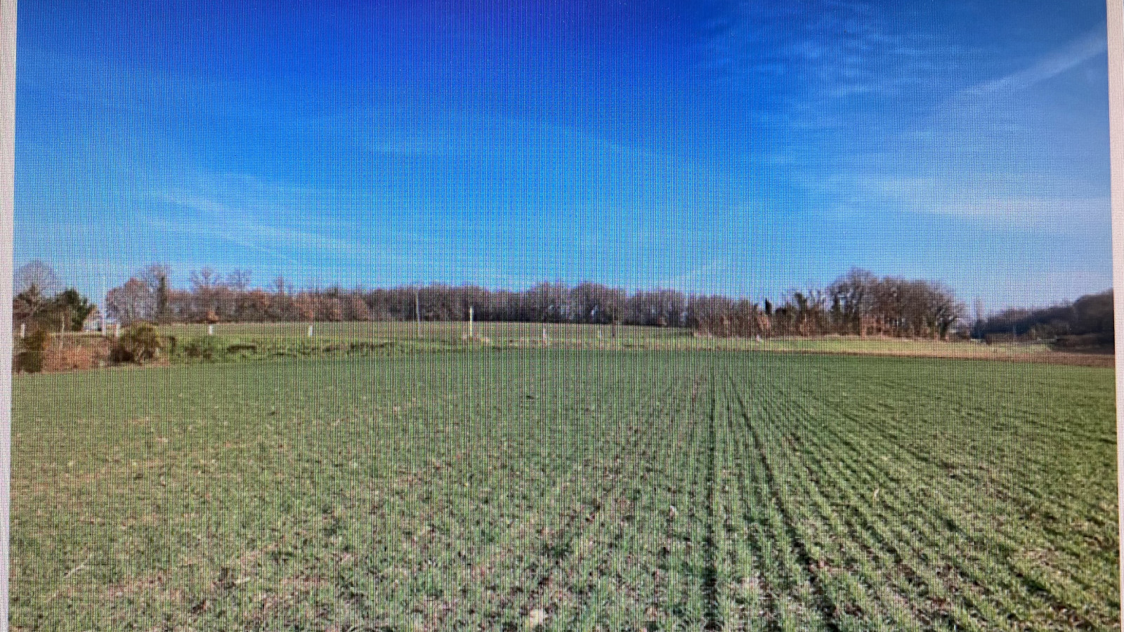 Terrain constructible de 445m2 à Sainte-Maure-de-Touraine