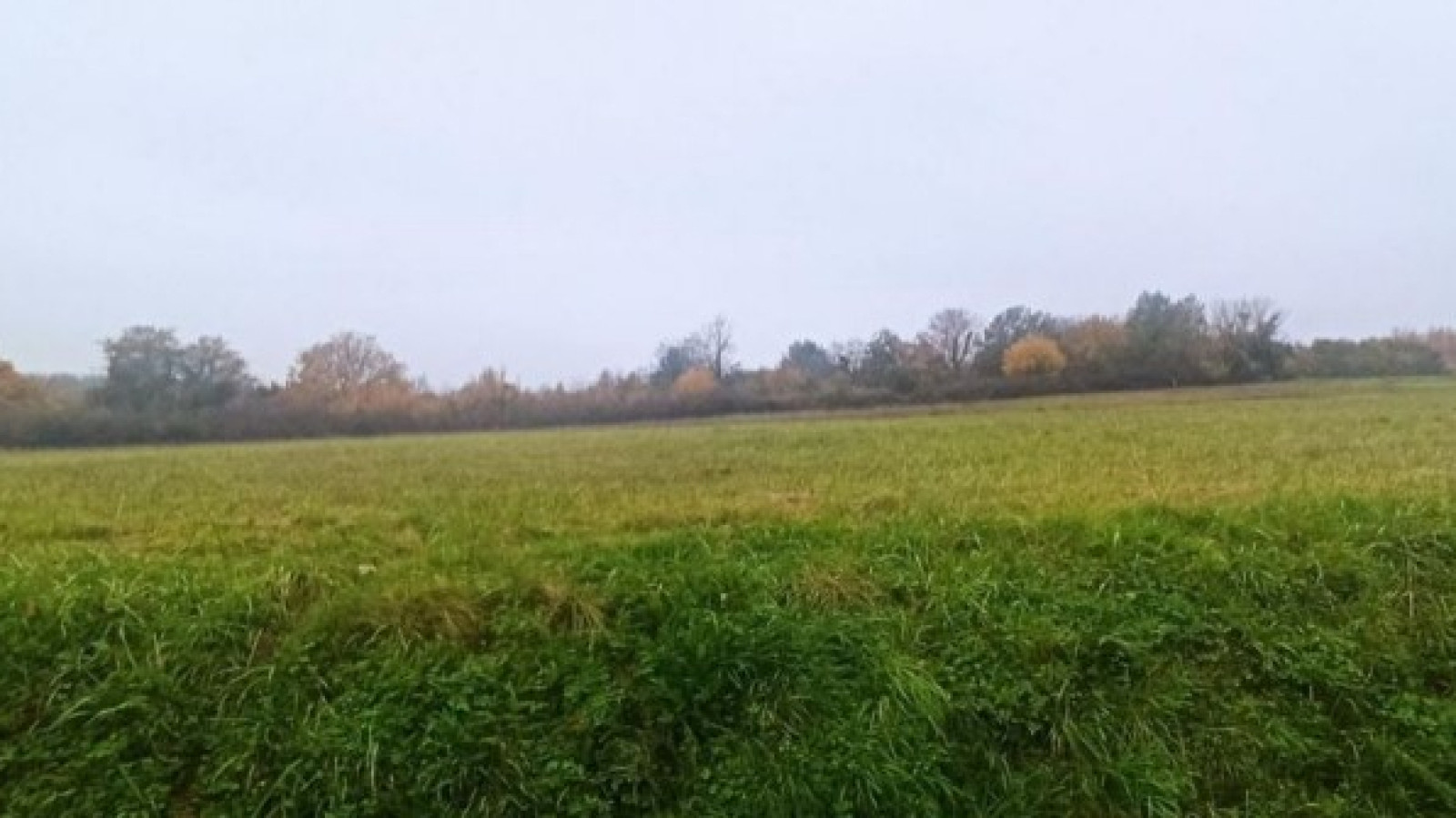 Terrain constructible de 969m2 à Chisseaux