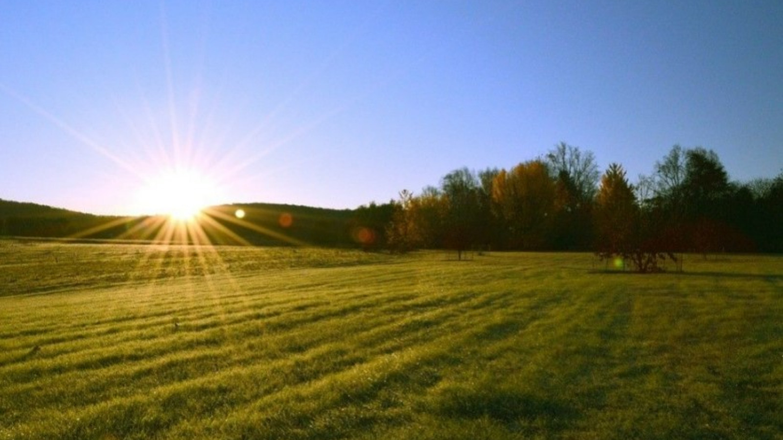 Terrain constructible de 1230m2 à Langeais